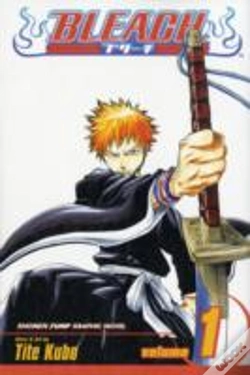 Capa do artigo Bleach, Vol. 1