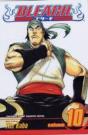 Bleach, Vol. 10 - Preview
