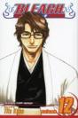 Bleach, Vol. 12 - Preview