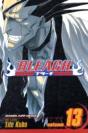 Bleach, Vol. 13 - Preview