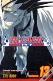 Capa do artigo Bleach, Vol. 13