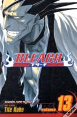 Capa do artigo Bleach, Vol. 13