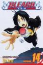 Bleach, Vol. 14 - Preview