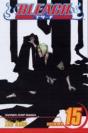 Bleach, Vol. 15 - Preview