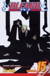 Capa do artigo Bleach, Vol. 15