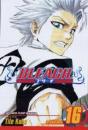 Bleach, Vol. 16 - Preview