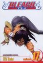 Bleach, Vol. 17 - Preview