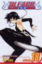 Bleach, Vol. 18 - Preview