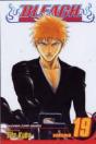 Bleach, Vol. 19 - Preview