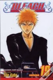 Capa do artigo Bleach, Vol. 19