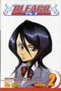 Bleach, Vol. 2 - Preview