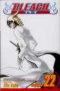 Bleach, Vol. 22 - Preview