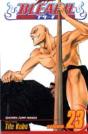 Bleach, Vol. 23 - Preview