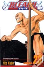 Capa do artigo Bleach, Vol. 23