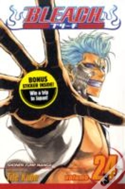 Capa do artigo Bleach, Vol. 24