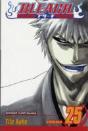 Bleach, Vol. 25 - Preview