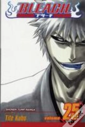 Capa do artigo Bleach, Vol. 25