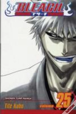 Capa do artigo Bleach, Vol. 25