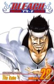 Capa do artigo Bleach, Vol. 28