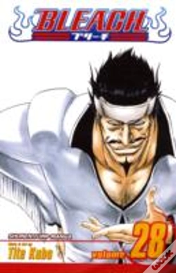 Capa do artigo Bleach, Vol. 28