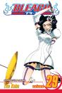 Bleach, Vol. 29 - Preview