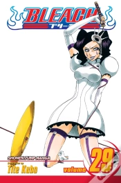 Capa do artigo Bleach, Vol. 29