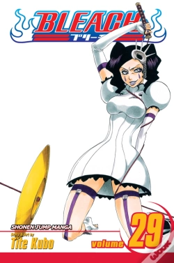Capa do artigo Bleach, Vol. 29