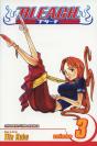 Bleach, Vol. 3 - Preview