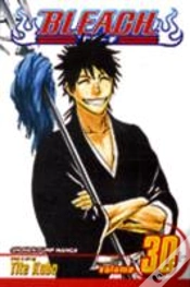 Capa do artigo Bleach, Vol. 30