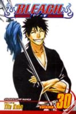 Capa do artigo Bleach, Vol. 30