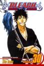 Bleach, Vol. 30 - Preview