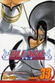 Bleach, Vol. 33