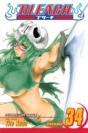 Bleach, Vol. 34 - Preview