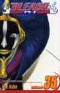 Bleach, Vol. 35 - Preview