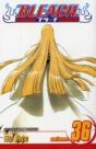 Bleach, Vol. 36 - Preview