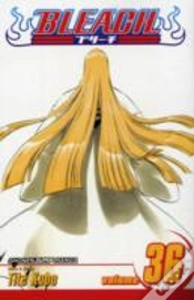 Capa do artigo Bleach, Vol. 36