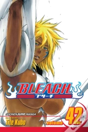 Capa do artigo Bleach, Vol. 42
