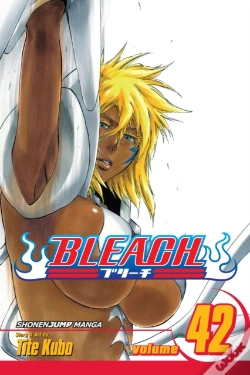 Capa do artigo Bleach, Vol. 42