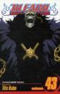 Bleach, Vol. 43 - Preview