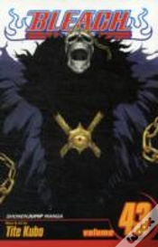 Capa do artigo Bleach, Vol. 43