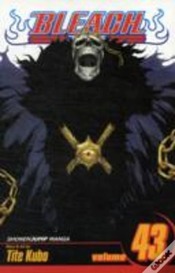 Capa do artigo Bleach, Vol. 43
