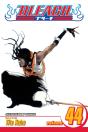 Bleach, Vol. 44 - Preview
