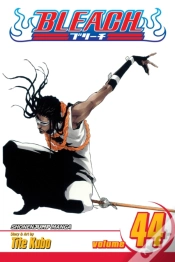 Capa do artigo Bleach, Vol. 44
