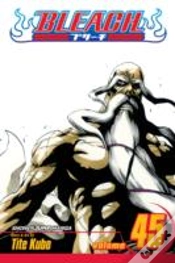 Capa do artigo Bleach, Vol. 45
