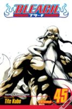 Capa do artigo Bleach, Vol. 45