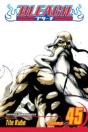 Bleach, Vol. 45 - Preview