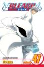 Bleach, Vol. 47 - Preview