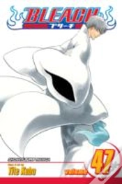 Capa do artigo Bleach, Vol. 47