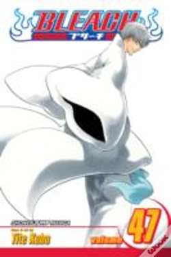 Capa do artigo Bleach, Vol. 47