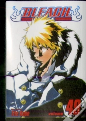 Capa do artigo Bleach, Vol. 49